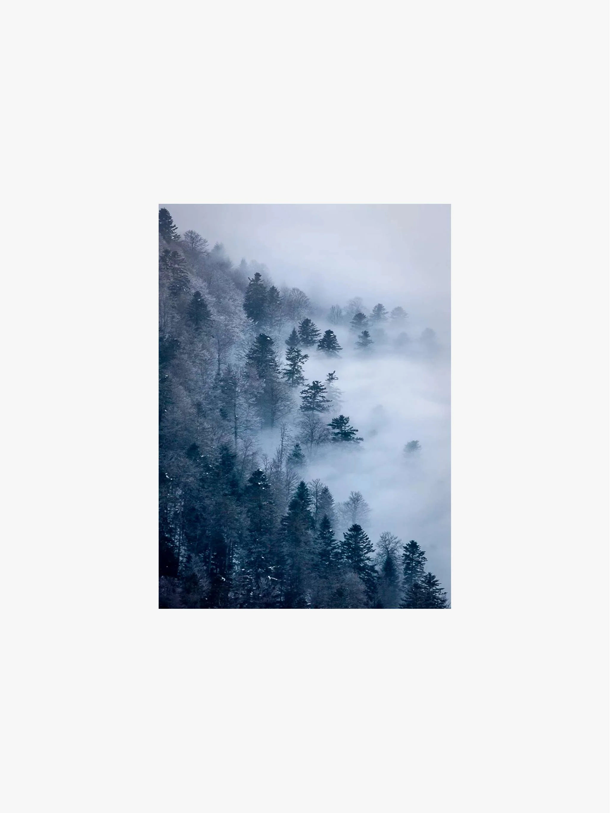 Cuadro decorativo Brume Bleue 1, tamaño 50 x 70 cm - Image 2