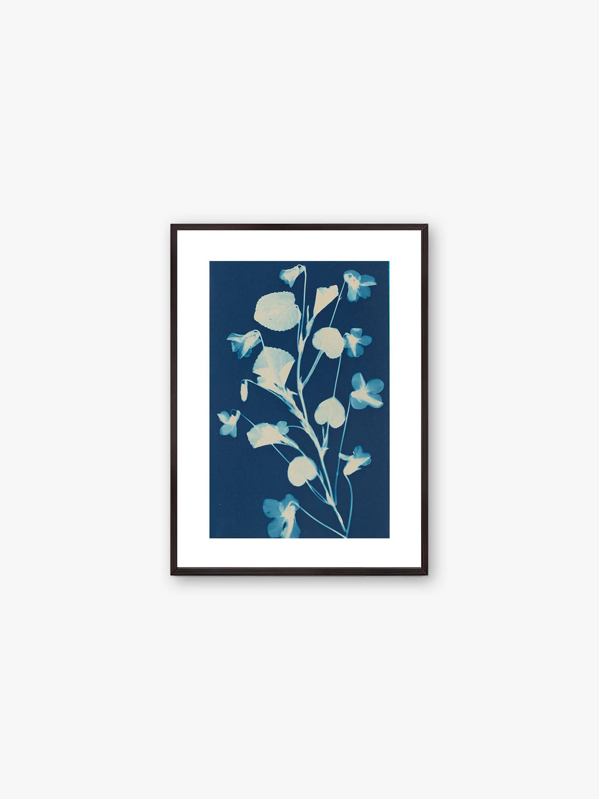 Cuadro decorativo Cyanotype - Fleurs, tamaño 30 x 40 cm