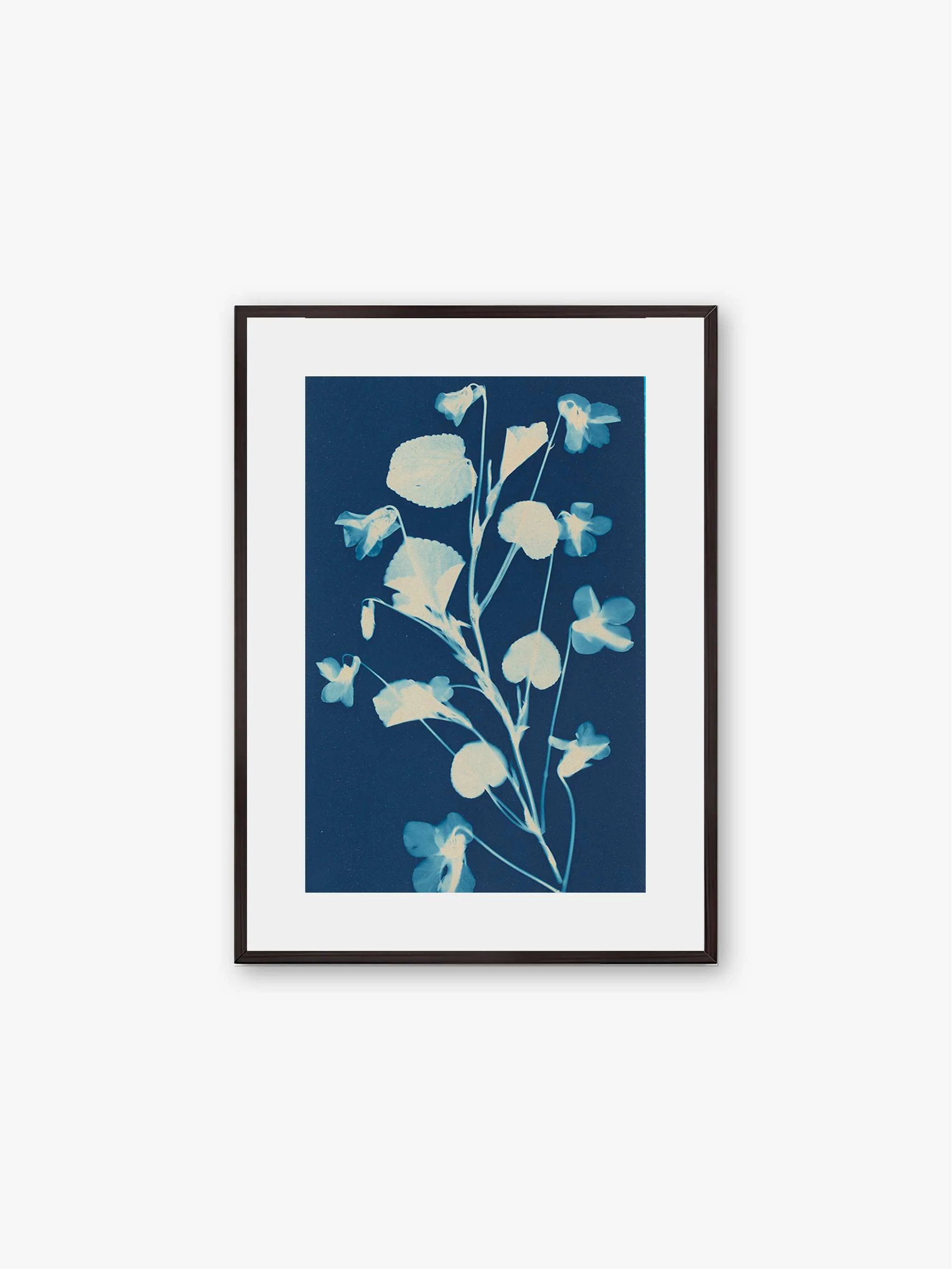 Cuadro decorativo Cyanotype - Fleurs, tamaño 50 x 70 cm