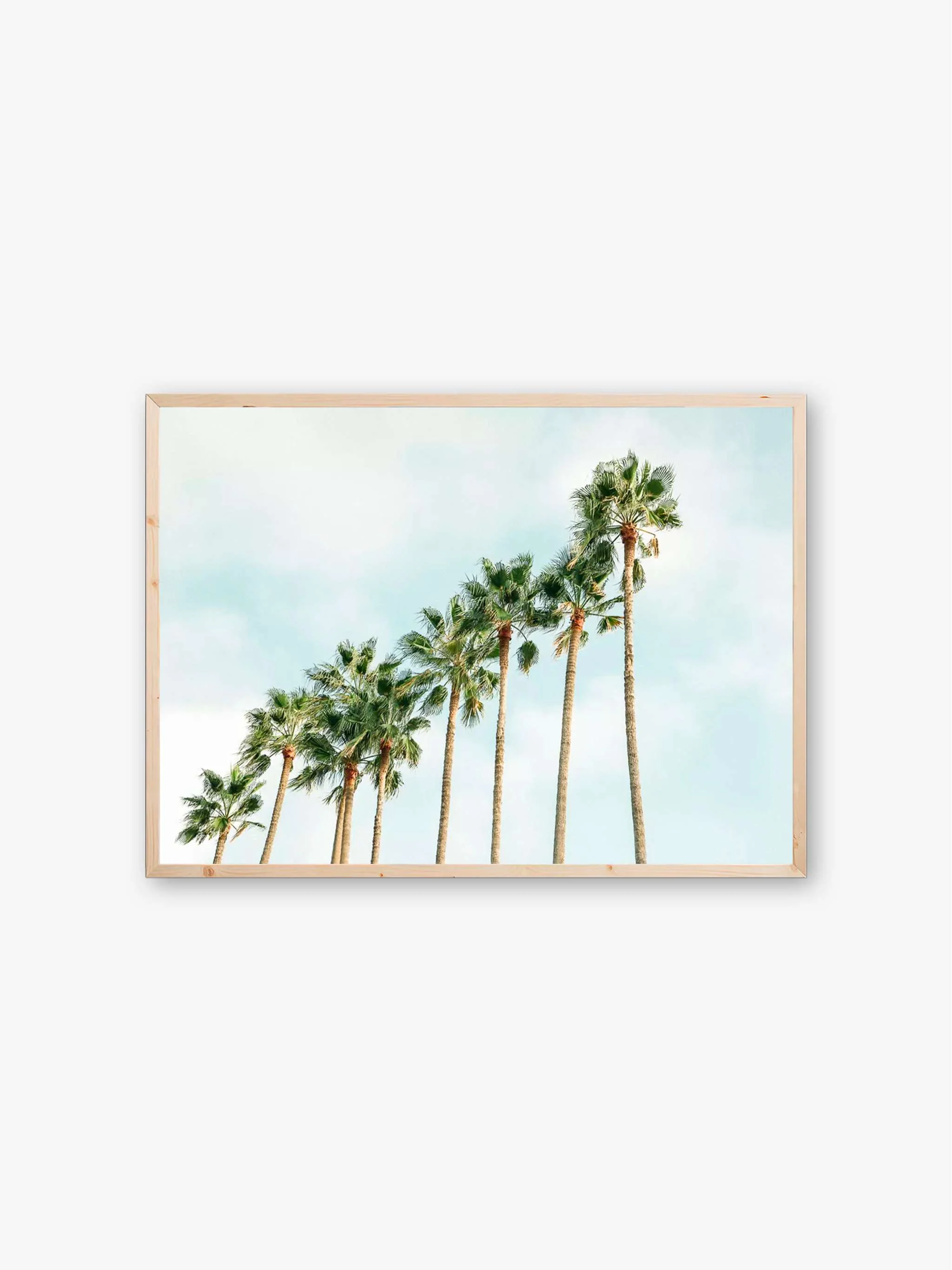 Cuadro decorativo Palm Trees Squad, tamaño 50 x 70 cm