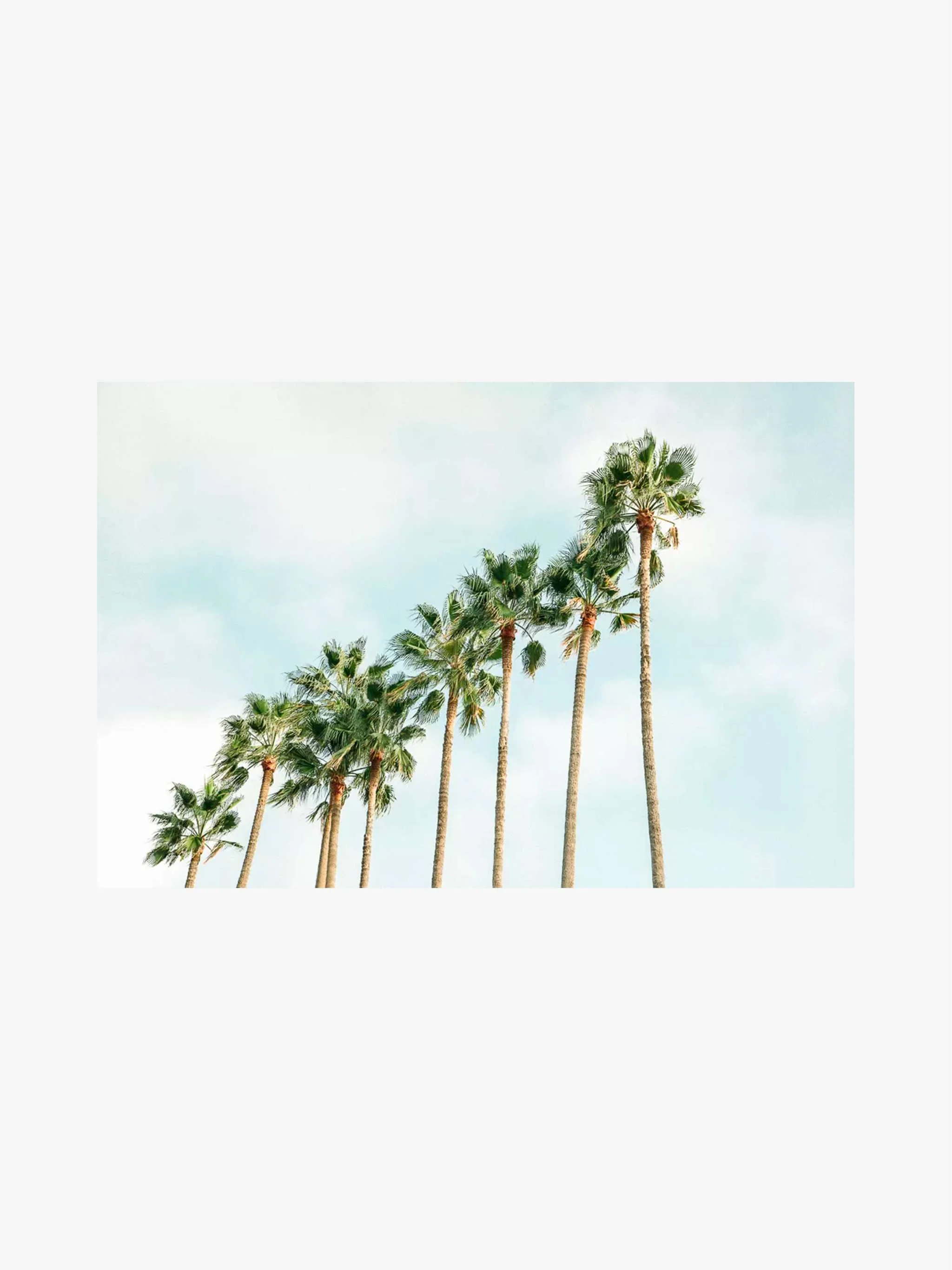 Cuadro decorativo Palm Trees Squad, tamaño 60 x 90 cm - Image 2