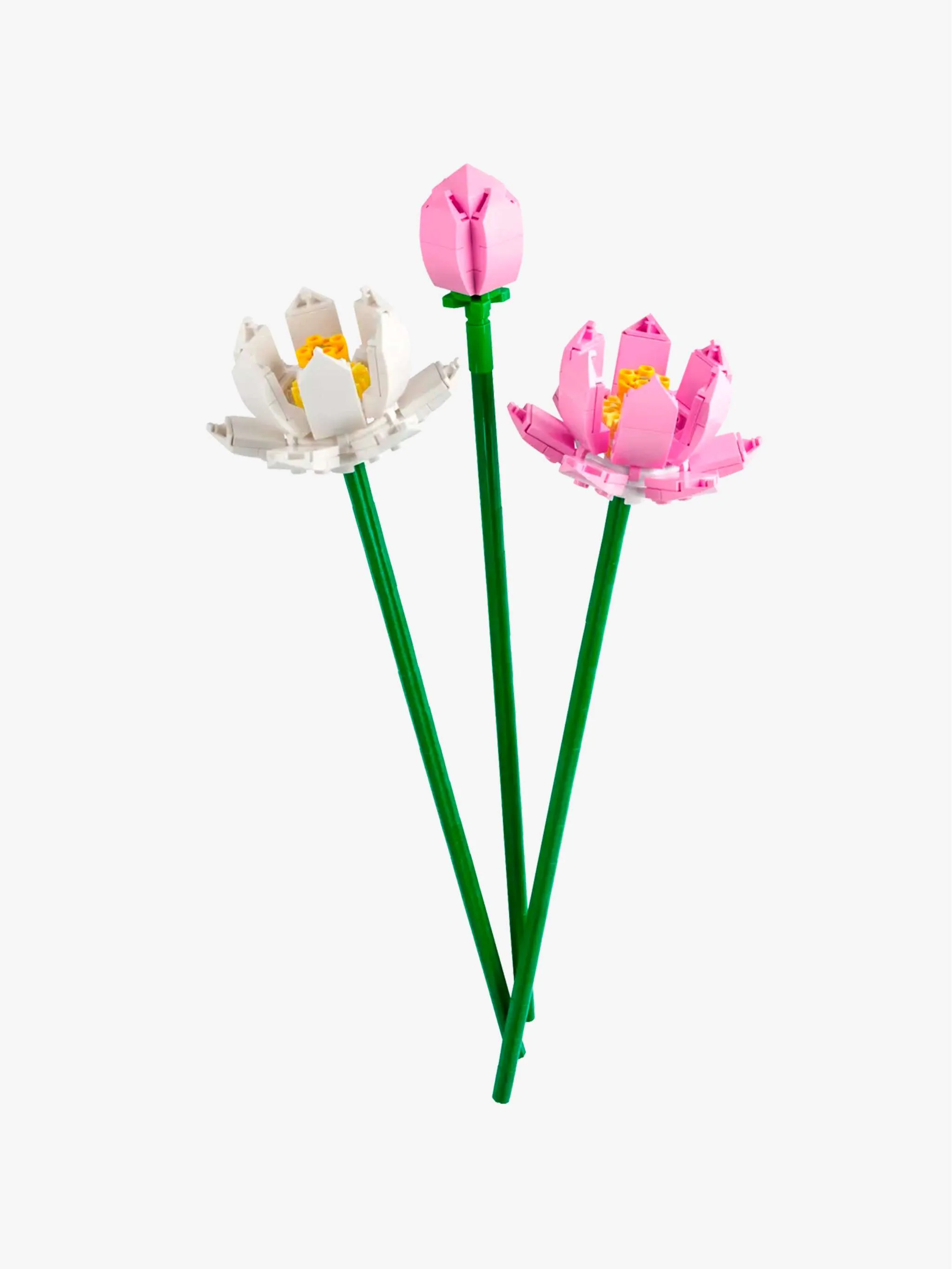 Juguete Lotus Flowers, montaje botánico y exhibición, para Niños